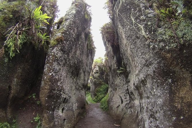 Full Day Floreana Tour - Inclusions and Logistics
