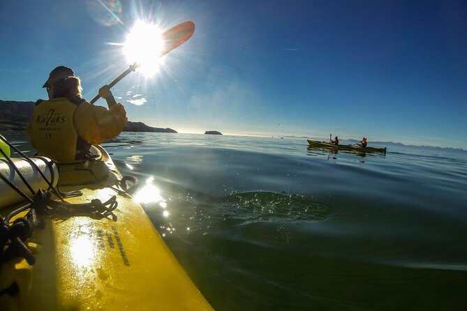 Full-Day Freedom Kayak Rental in New Zealand - Included Equipment