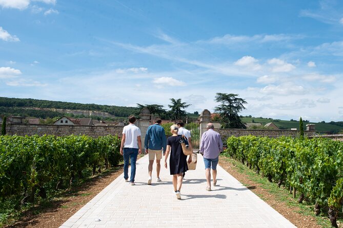 Full Day From Beaune: the Most of Burgundy, With Lunch - Tour Details