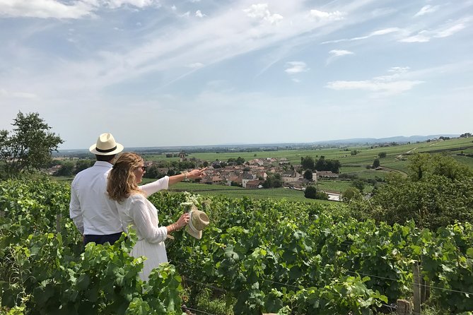 Full Day From Beaune: the Most of Burgundy, With Lunch - Experience Highlights