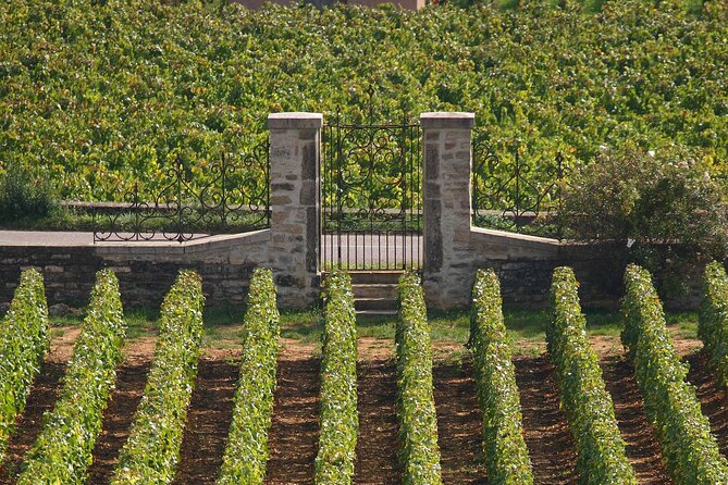 Full Day From Dijon: the Most of Burgundy With Lunch - Accessibility and Recommendations