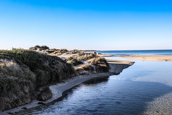 Full Day From Lecce to a Private Beach With Typical Salento Lunch - Accessibility Information