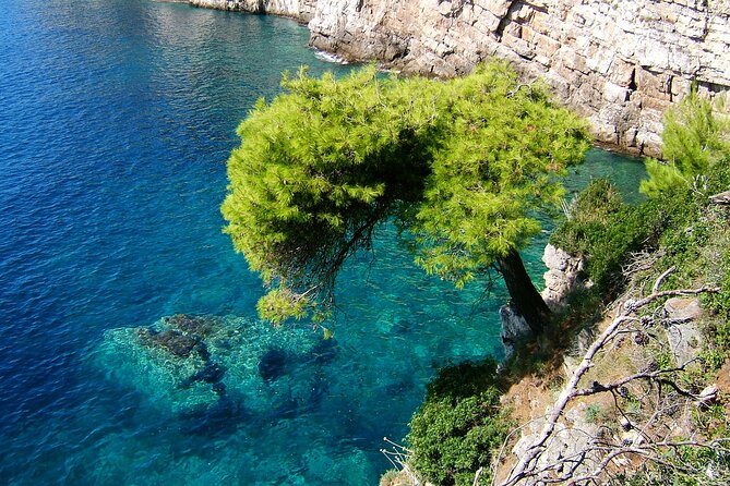 Full-Day Fun Cruise of Dubrovnik Islands With Lunch - Tour Details
