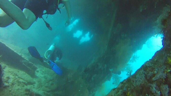 Full Day Fun Diving at Tulamben All Inclusive - Key Points