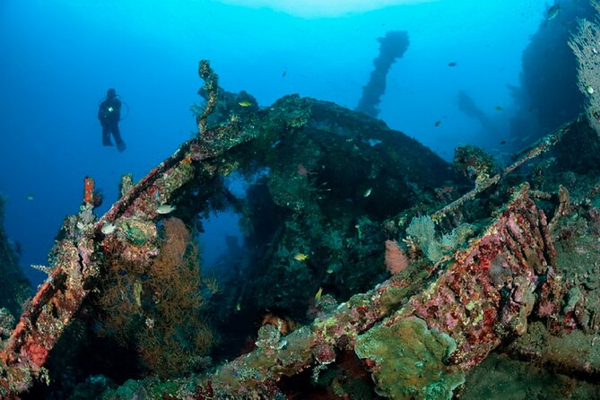 Full Day Fun Diving at Tulamben All Inclusive - Health and Safety Considerations