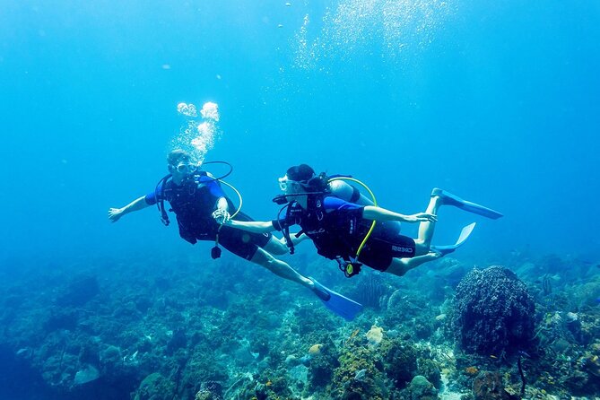 Full Day Fun Diving at Tulamben All Inclusive - Dive Sites and Highlights