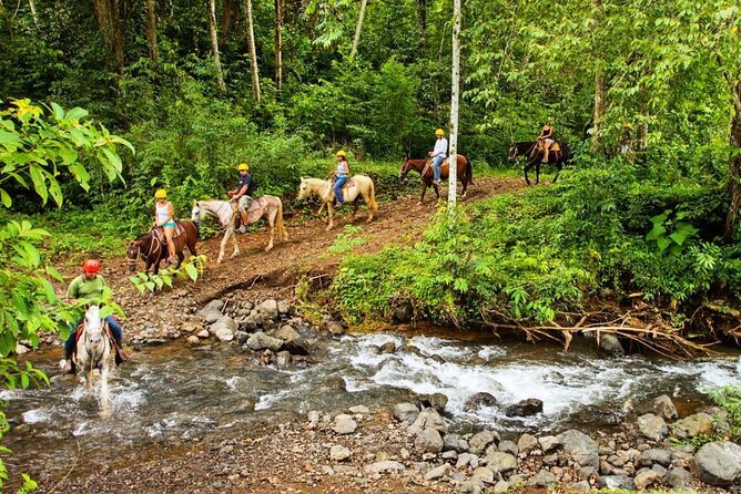 Full Day Fun Pass Jaco Jungle Adventure Five in One With Lunch (7 Hours) - Ziplining Through the Rainforest