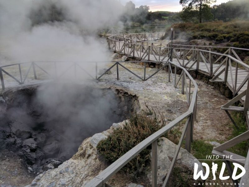 Full-Day Furnas Guided Tour With Optional Hot Springs - Tour Highlights and Activities