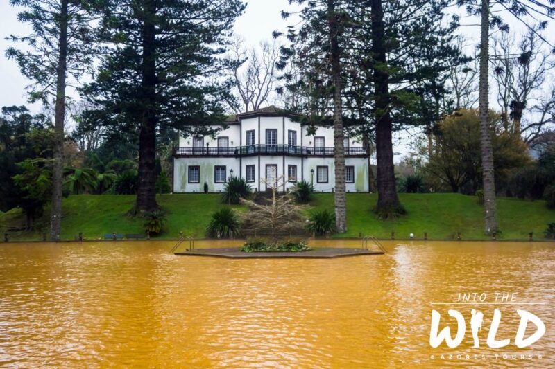 Full-Day Furnas Guided Tour With Optional Hot Springs - Customer Feedback and Ratings