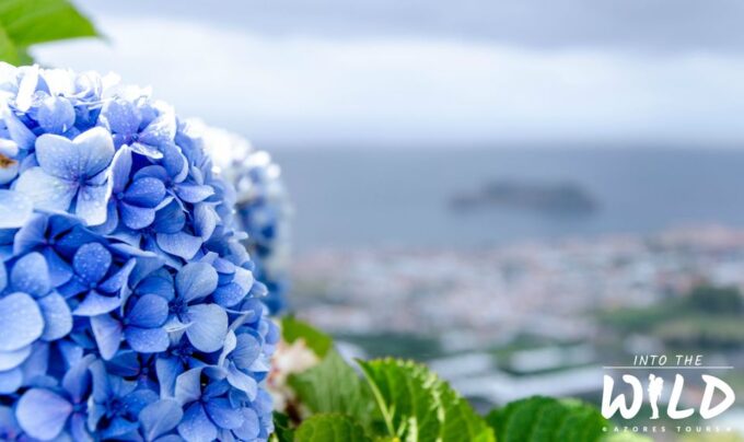 Full-Day Furnas Guided Tour With Optional Hot Springs - Experience Traditional Azorean Stew