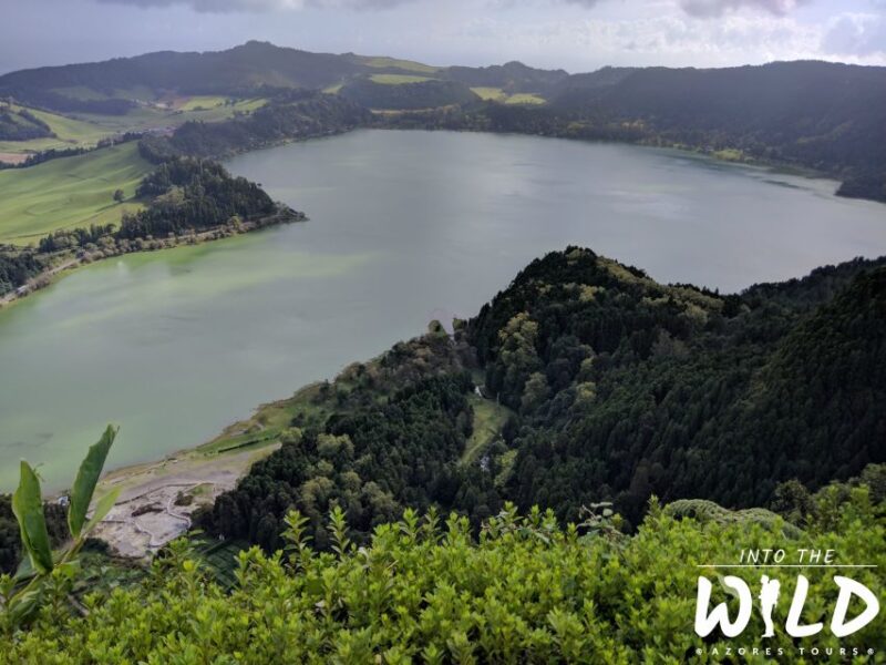 Full-Day Furnas Guided Tour With Optional Hot Springs - Inclusions and Services