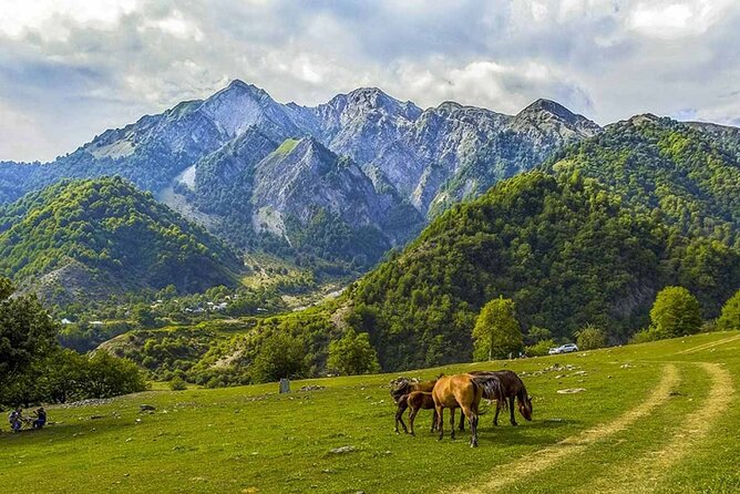 Full Day GABALA Tour With Mountains, Lakes and Waterfalls - Reviews Summary