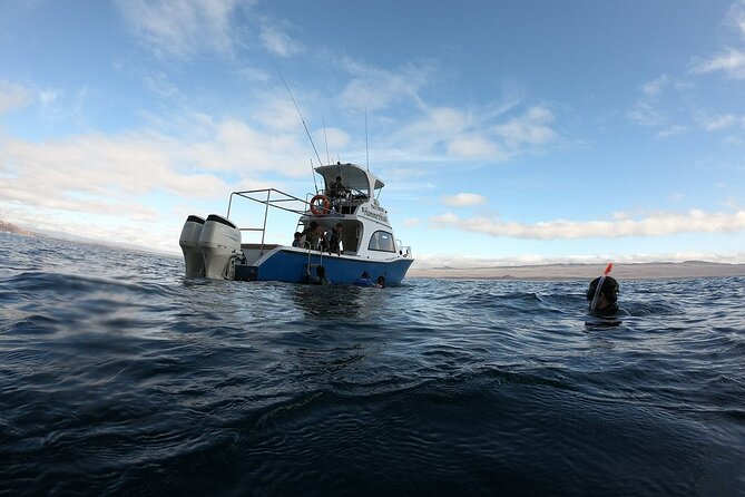 Full Day Galapagos 360 Tour From San Cristobal (Naturalist Guide) - Kicker Rock Snorkeling