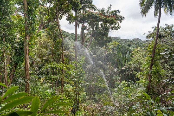 Full Day Garden Delight Private Tour in Barbados - Included Highlights