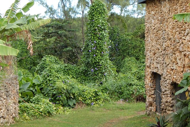 Full Day Garden Delight Private Tour in Barbados - Booking Your Stay