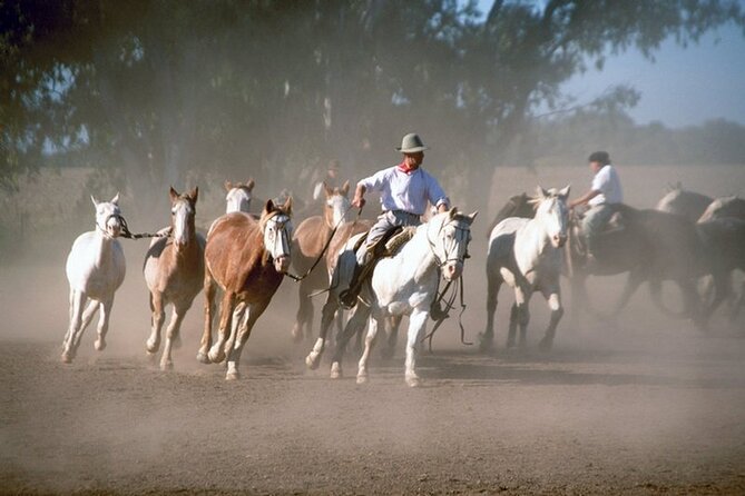 Full Day Gaucho Fiesta (From BUENOS Aires) - Key Points