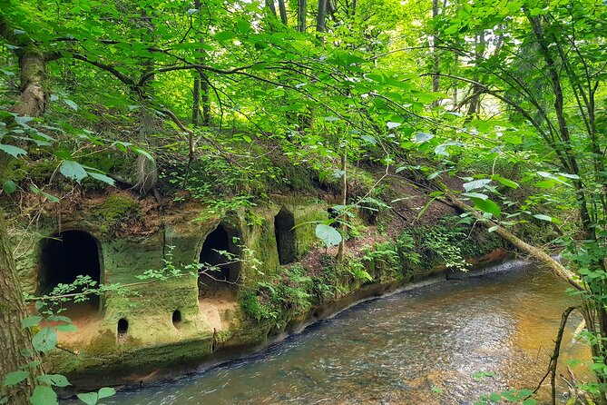 Full Day Gauja National Park Ultimate Hiking & Sightseeing Trip - Operator and Safety Considerations