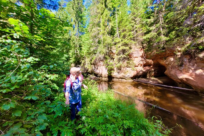 Full Day Gauja National Park Ultimate Hiking & Sightseeing Trip - Outdoor Experiences Included