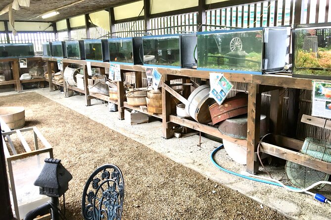 Full-Day Goldfish Unique Experience in Yamato-Koriyama, Nara - Accessibility and Accommodations