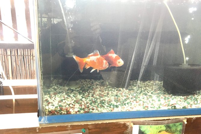 Full-Day Goldfish Unique Experience in Yamato-Koriyama, Nara - Cancellation Policy