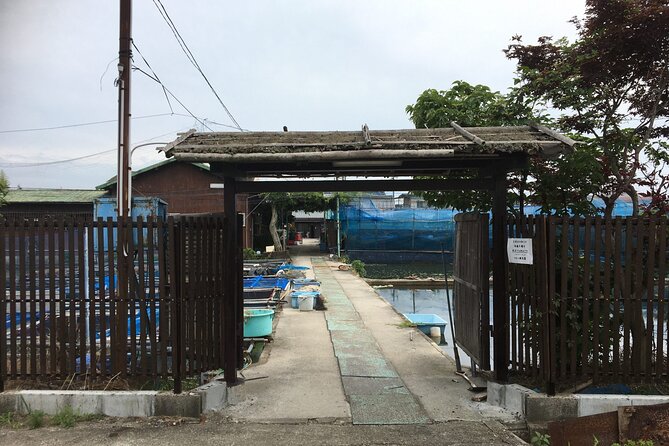 Full-Day Goldfish Unique Experience in Yamato-Koriyama, Nara - Location and Transportation