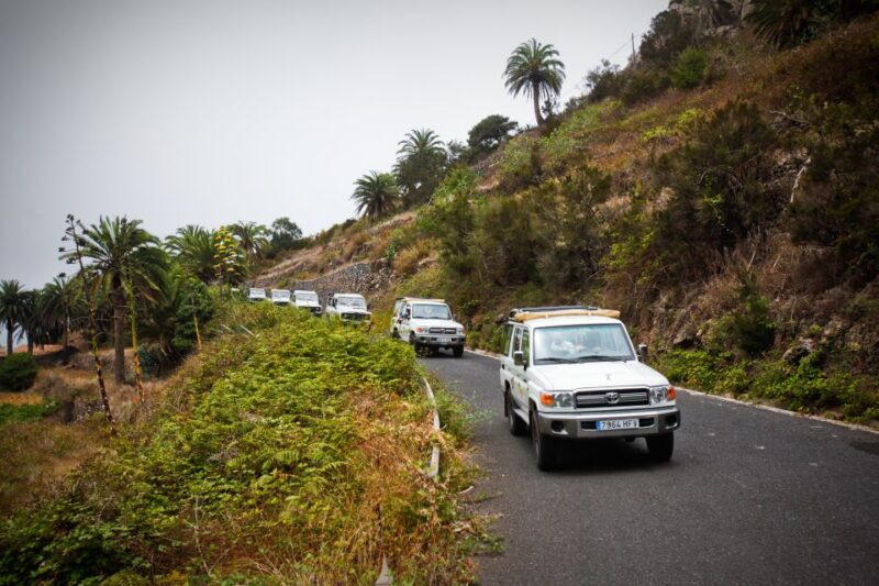 Full-Day Gomera Jeep Safari Excursion From Arona - Departing From Tenerife