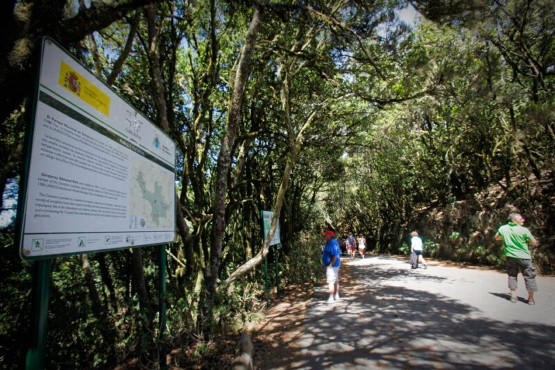 Full-Day Gomera Jeep Safari Excursion From Arona - Arrival in San Sebastián