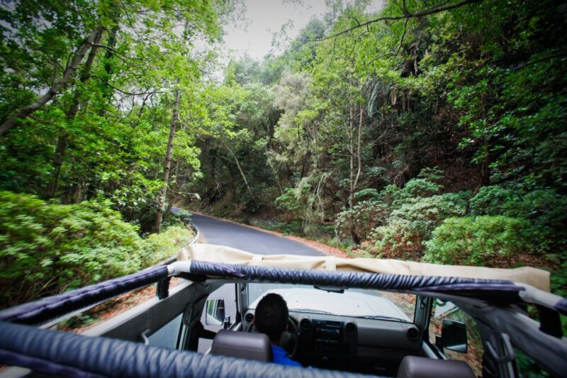 Full-Day Gomera Jeep Safari Excursion From Arona - Picturesque Village Visits