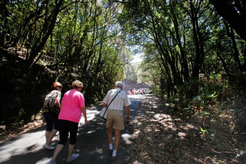 Full-Day Gomera Jeep Safari Excursion From Arona - Booking and Cancellation Policy