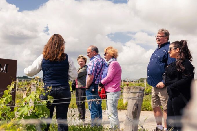 Full-Day Gourmet Tour & Medoc Visit With Lunch - Chateau Visit