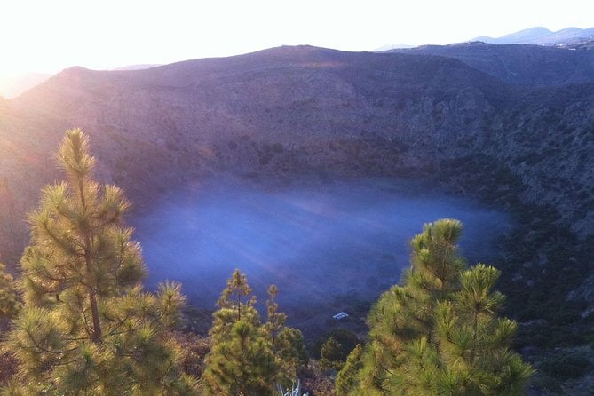 Full-Day Gran Canaria Island Tour - Cumbres - Traveler Feedback