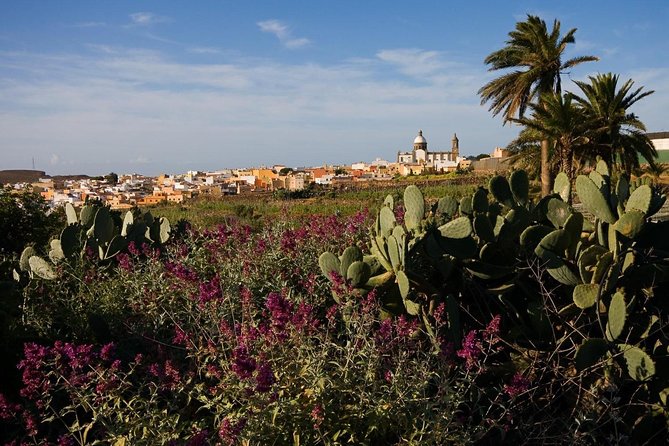 Full-Day Gran Canaria Island Tour - Cumbres - Important Considerations