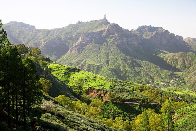 Full-Day Gran Canaria Tour With Teror, Tejeda and Lunch in Fataga - Customer Reviews and Feedback