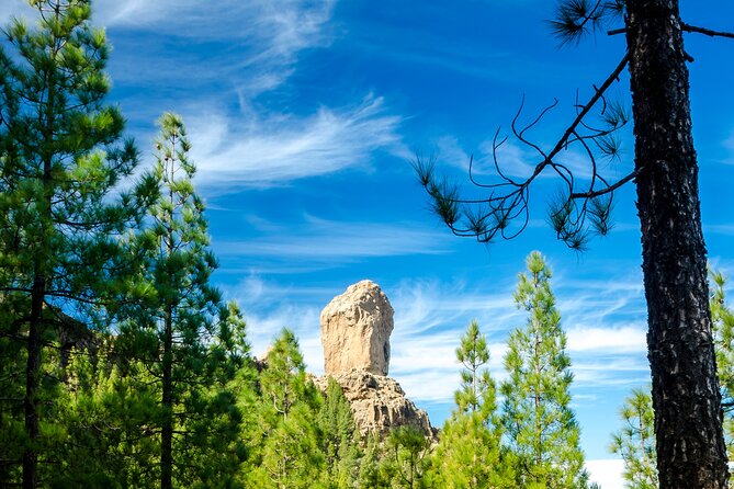 Full-Day Gran Canaria Tour With Teror, Tejeda and Lunch in Fataga - Transportation Options and Amenities