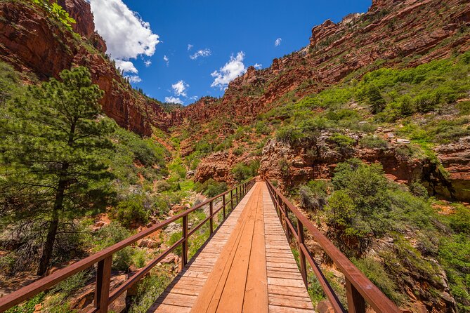 Full-Day Grand Canyon North Rim Audio Driving Tour - Customer Feedback and Recommendations
