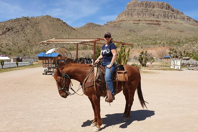 Full Day Grand Canyon Trip With Horseback Ride From Las Vegas - Accessibility and Requirements