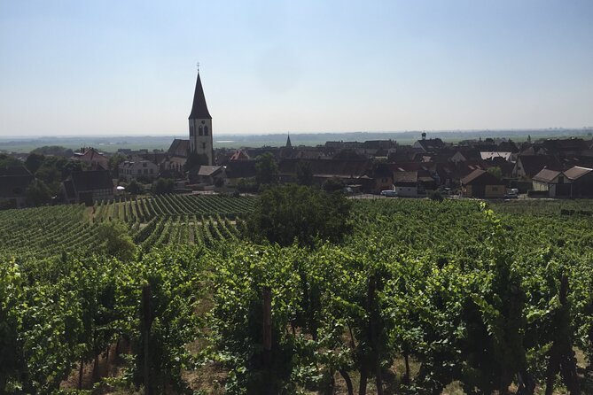 Full Day Grape Escape to Alsace Wine Route via Strassbourg - Tour Overview and Itinerary