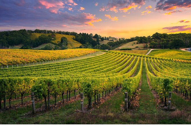 Full Day Grape Escape to Alsace Wine Route via Strassbourg - Pricing and Payment Options