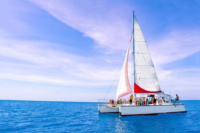 Full-Day Great Barrier Reef Sailing Trip From Cairns - Group Size and Restrictions