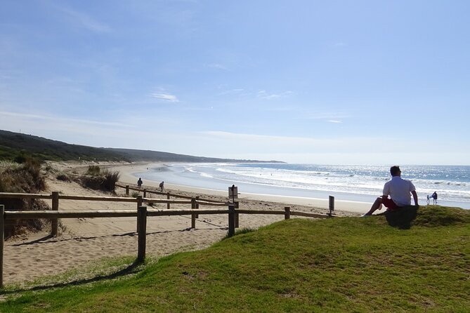 Full-Day Great Ocean Road and 12 Apostles Tour - Tour Operator