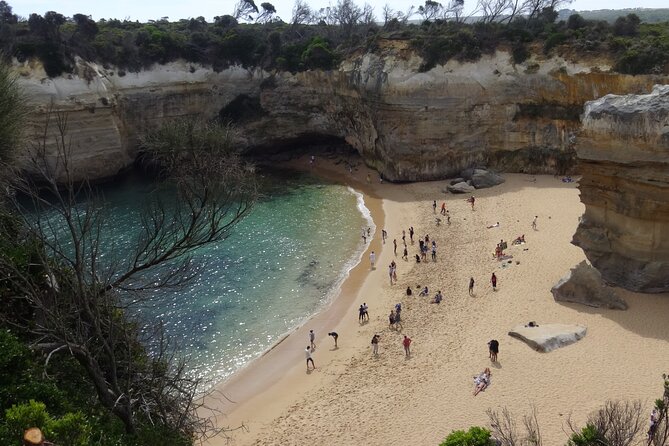 Full-Day Great Ocean Road and 12 Apostles Tour - Traveler Feedback