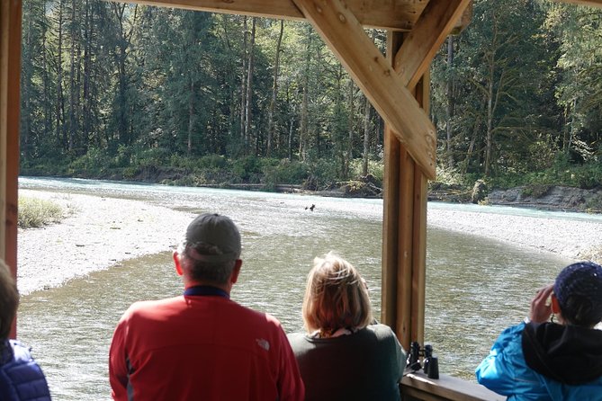 Full Day Grizzly Bear Tour to Bute Inlet - Vessel and Amenities