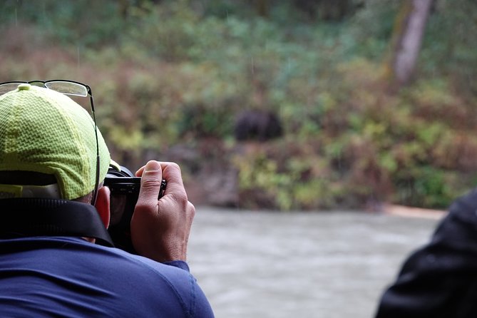 Full Day Grizzly Bear Tour to Toba Inlet - Grizzly Bear Viewing
