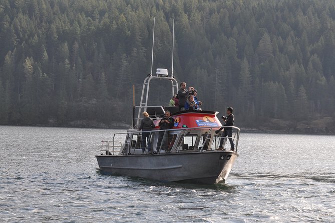 Full Day Grizzly Bear Tour to Toba Inlet - Klahoose First Nation Guide