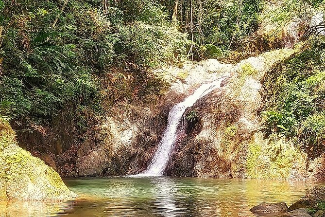 Full Day Group Tour in Tobago Atlantic Coast - Cancellation Policy