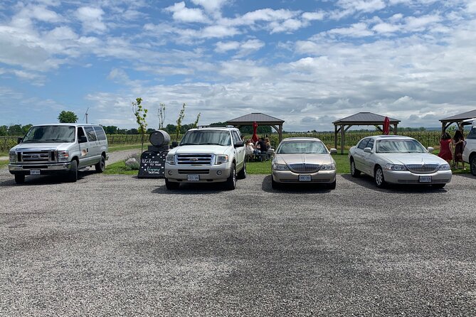 Full-Day Group Wine Tour (With Cheese and Charcuterie) in Niagara-On-The-Lake - Reviews