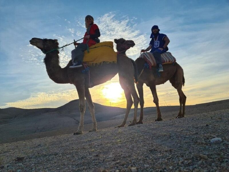 Full-Day Guided Atlas Mountains Tour - Inclusions