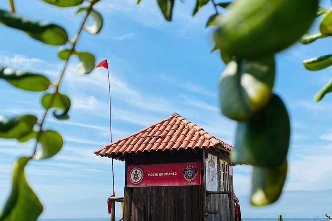 Full Day Guided Beach Tour in Rio De Janeiro - Participant Information