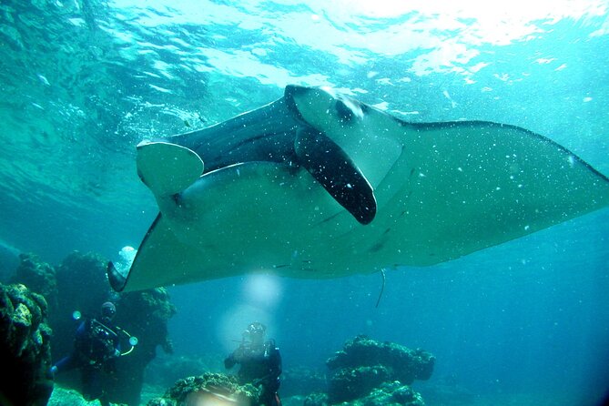 Full Day Guided Boat 2diving in Kerama Islands (License Required) - Key Points