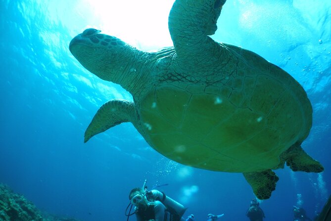 Full Day Guided Boat 2diving in Kerama Islands (License Required) - Inclusions